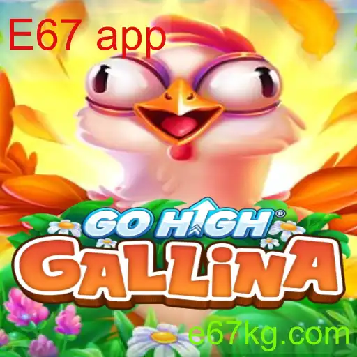 GoHighGallina